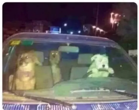 Villainous miscreants in car